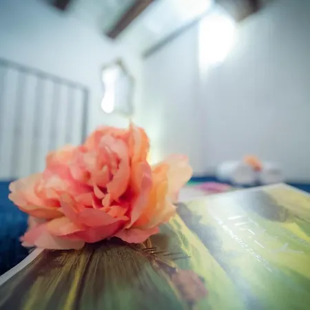 Wonderful Romantic Studio Ponte Vecchio Area *